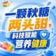 相聚金陵，金秋十月，第115届糖酒会，共赴食饮新赛道